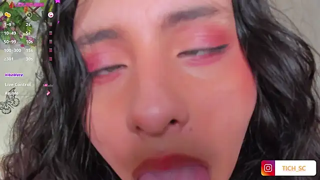 TICH____ webcam