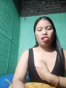 opna43 webcam