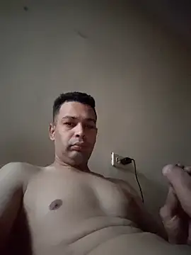 RinsedSulidae webcam