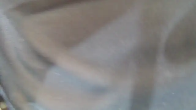 HairyQuinn webcam
