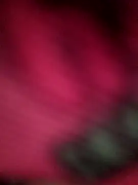 Preview of chuckyydee