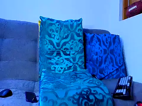 tomas_smith1 webcam