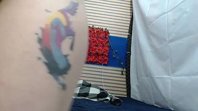 rosse_2504 webcam