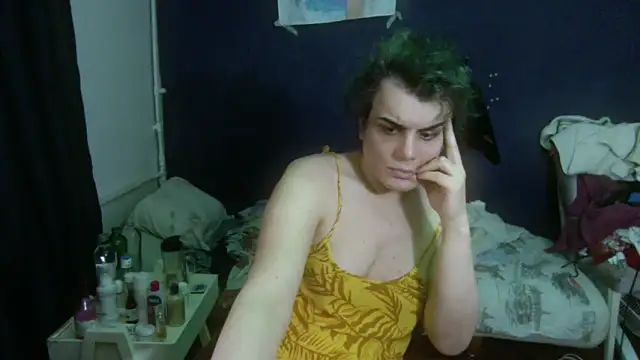 turkishTransEfsun webcam