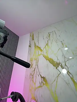 hinata_dolly webcam