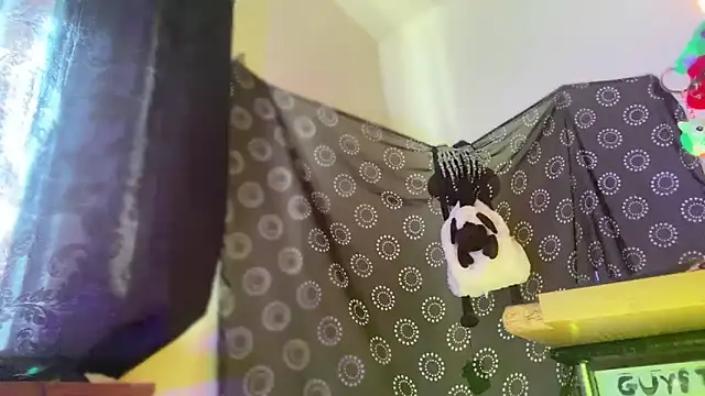 Guyst049 webcam