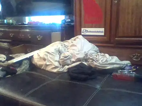 dickencidr webcam