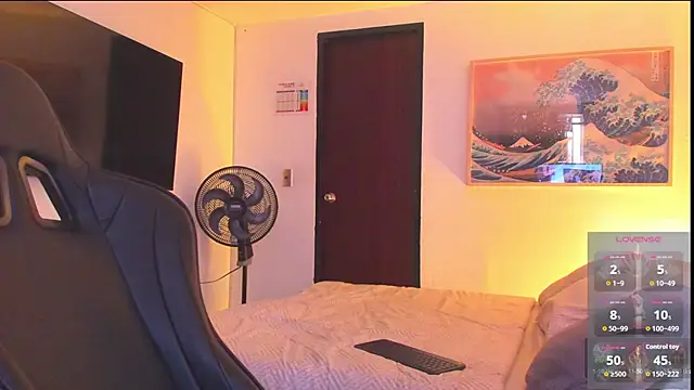 RJBarto webcam