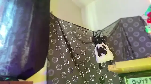 Guyst049 webcam
