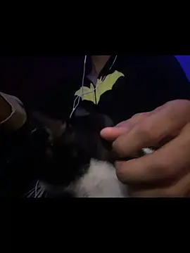 Preview of vexahleah