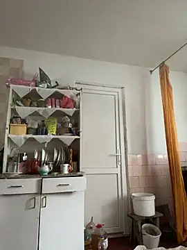 Frosl webcam
