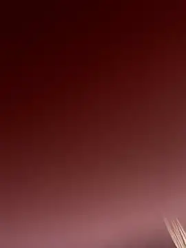 AnitaFly