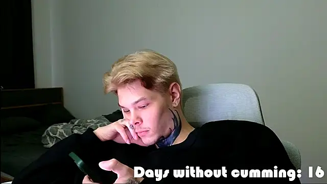 DENIS_HERE webcam