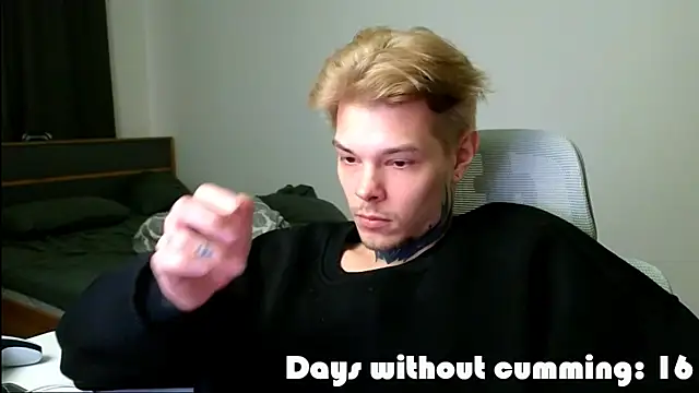 DENIS_HERE webcam