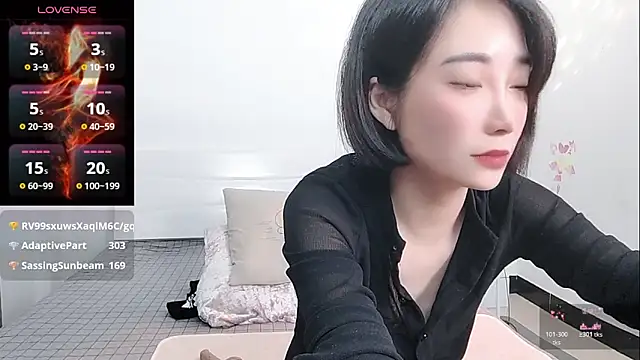 YIWA-2000 webcam