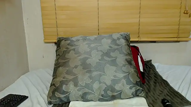 ThickChocolate webcam