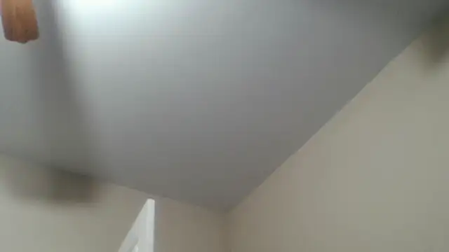 RinsingWood84 webcam
