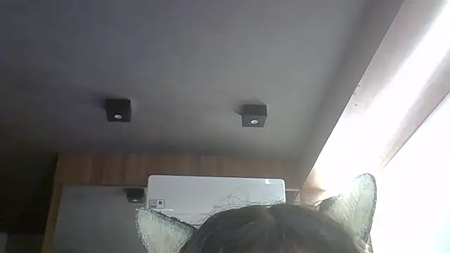 Preview of skinnykitten