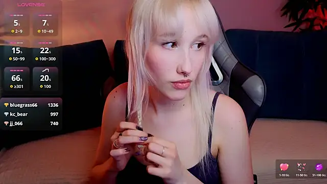 evlica webcam