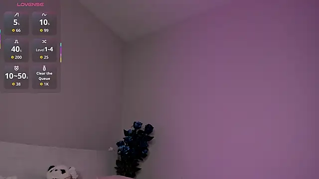missinfull webcam