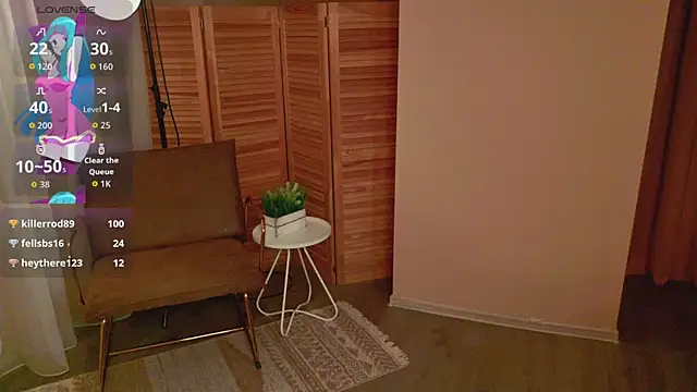 museofmind webcam