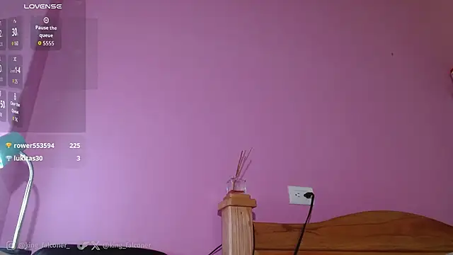 king_falconer webcam