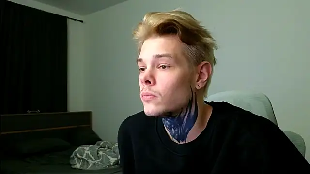 DENIS_HERE webcam