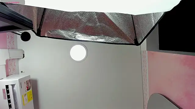 sami_milk webcam