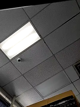 Bakedroll333's live cam