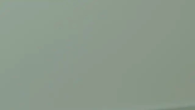 Preview of -13-