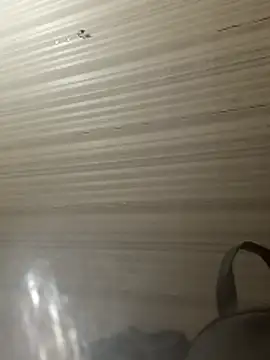 Nik888Nik888 live sex cam