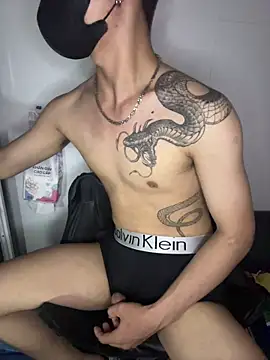 shin2xx Live Webcam on Stripchat