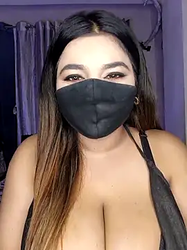 bold-cat