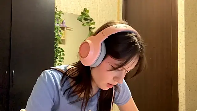 CrappyCatcher webcam