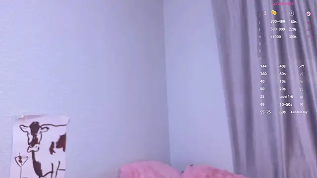 Dallass_ss webcam