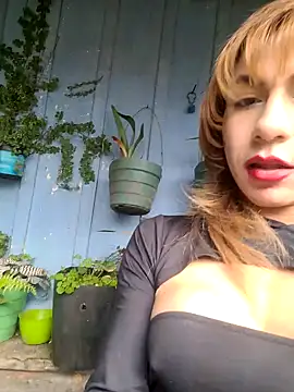 Evehamp live sex cam