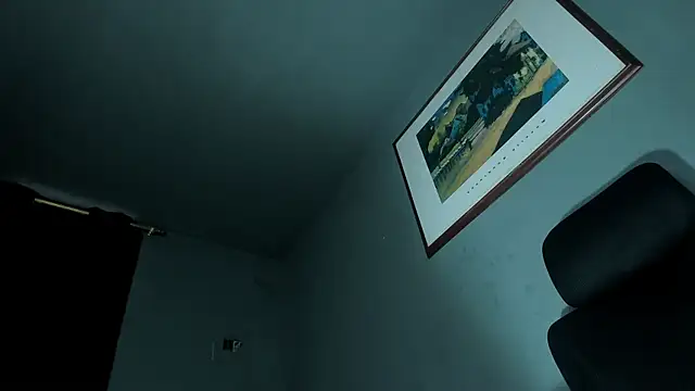 Preview of travtanner