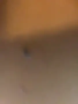 Preview of chrisstyannecd