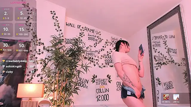 mira0_0 webcam