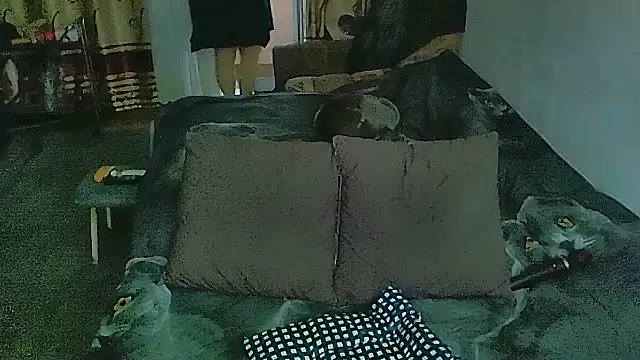 sex2 webcam