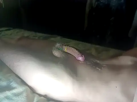 dudewolfen webcam stripchat model stream image