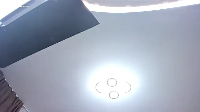 Preview of fireflowers_
