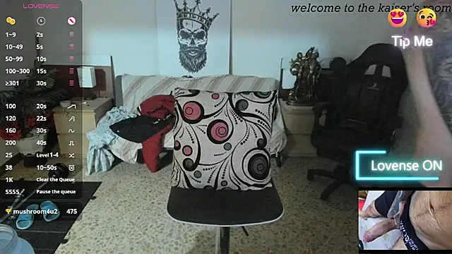 Preview of kaiser679_