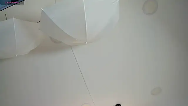 Preview of taylor_royal_