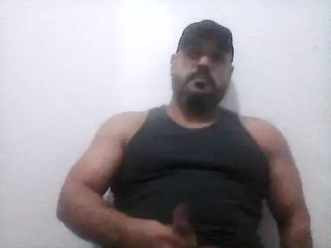 stallony webcam