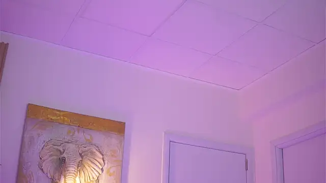 LatinaMorene