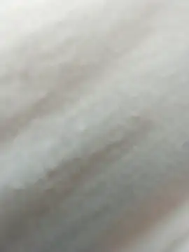 Sea-ice live sex cam