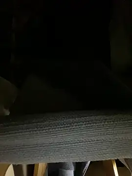 Preview of gusanodelicioso