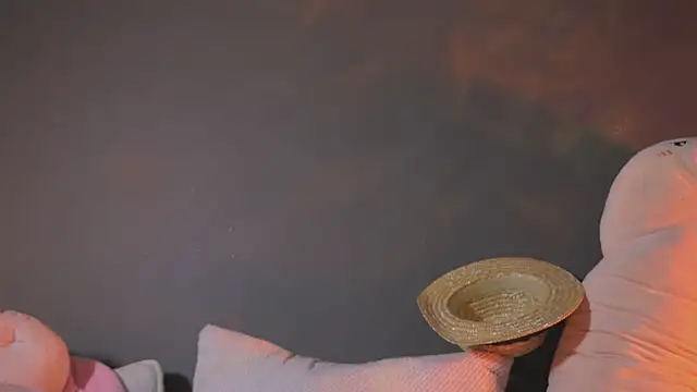 onlyjett (Ask my age) - tease with panties