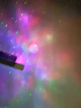 Misty-rosa webcam